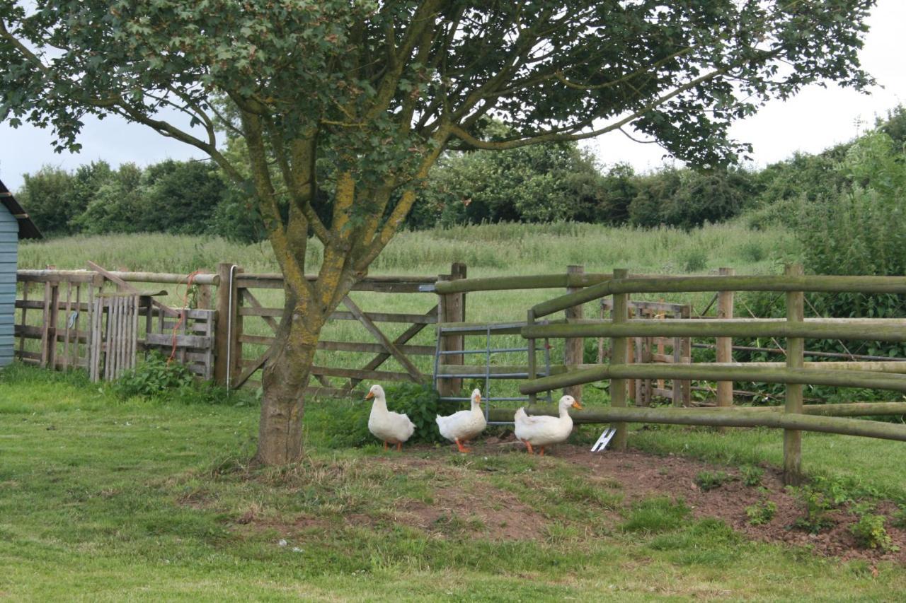 Greenway Farm Bed & Breakfast บริดจ์วอเตอร์ ภายนอก รูปภาพ